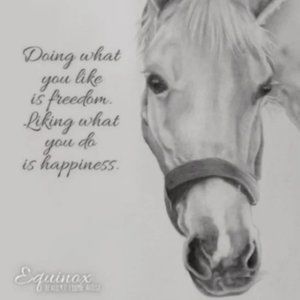 🐴 Horse drawing quote message Art Poster Print A4 Signed by artist